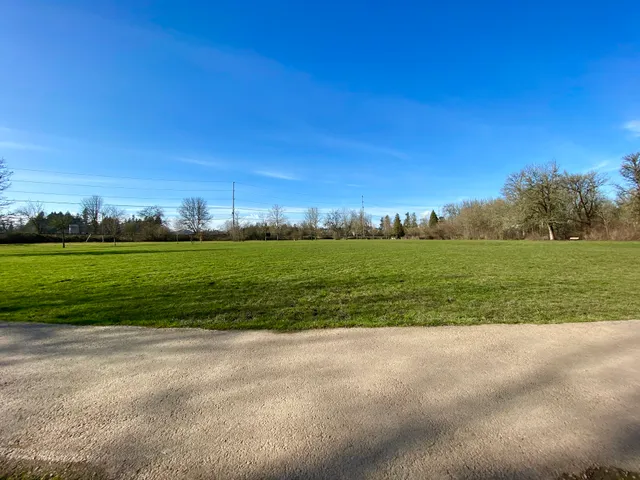 Durham Park Off Leash area