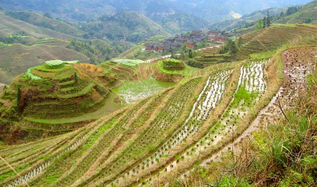 平安寨梯田