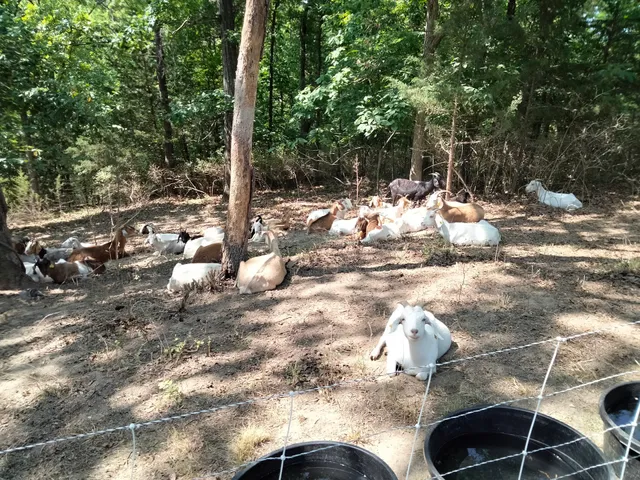 McClung Park Indoor Pavilion
