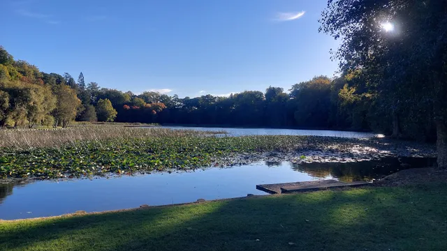 Lake Te Ko Utu (Te Koutu Lake)