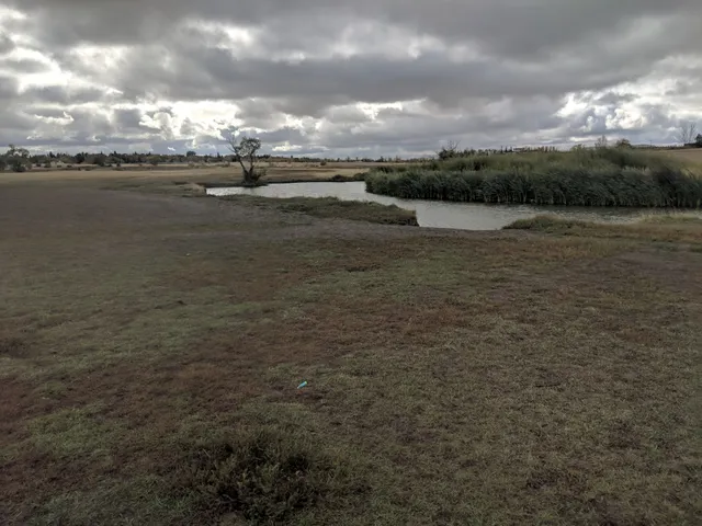 Cathy Lauritsen Memorial Off-Leash Dog Park