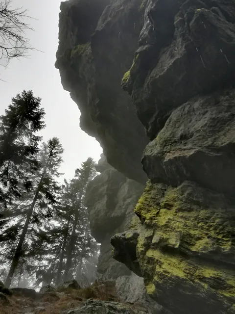 photo-1