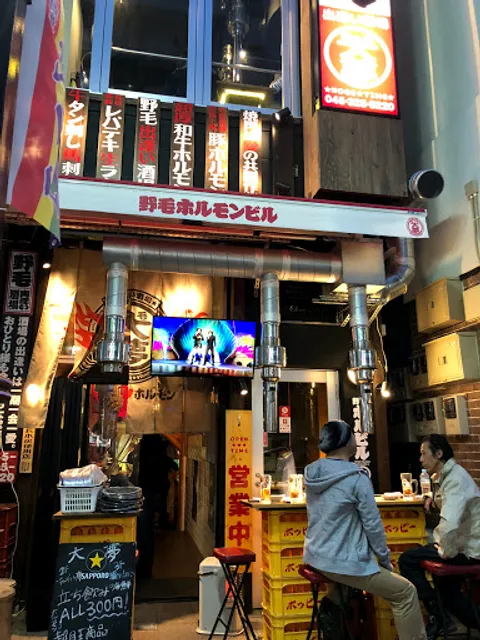 Noge Hormone Building Encounter Tavern Taimu