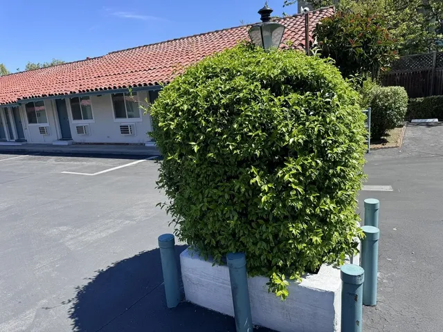 The Alameda Motel