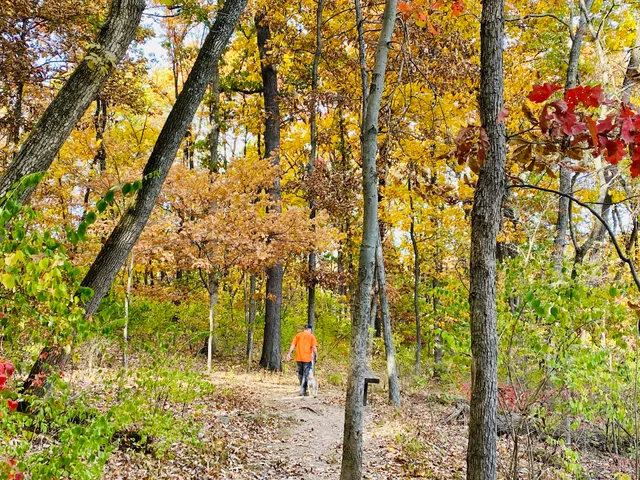 Mastodon State Historic Site