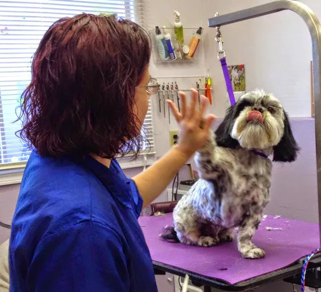 Sweet Paws Pet Grooming and Boarding