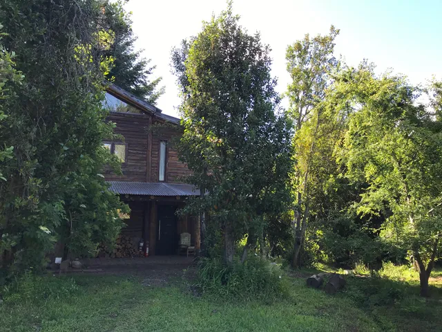 Vida Pura, Lo de Flora