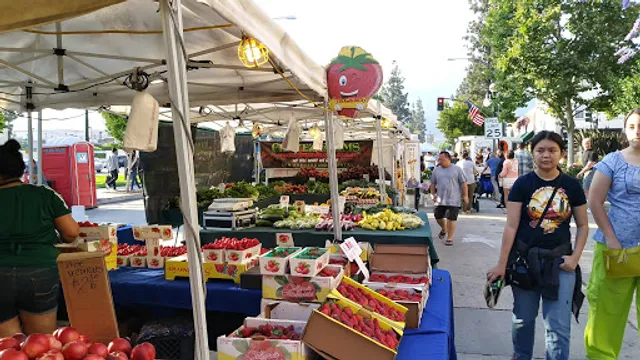 Monrovia Street Fair & Market