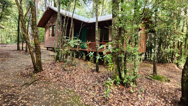 Cabañas Pehuen, Playa blanca, Caburgua