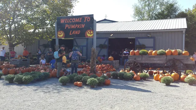 Windmill Farm Market