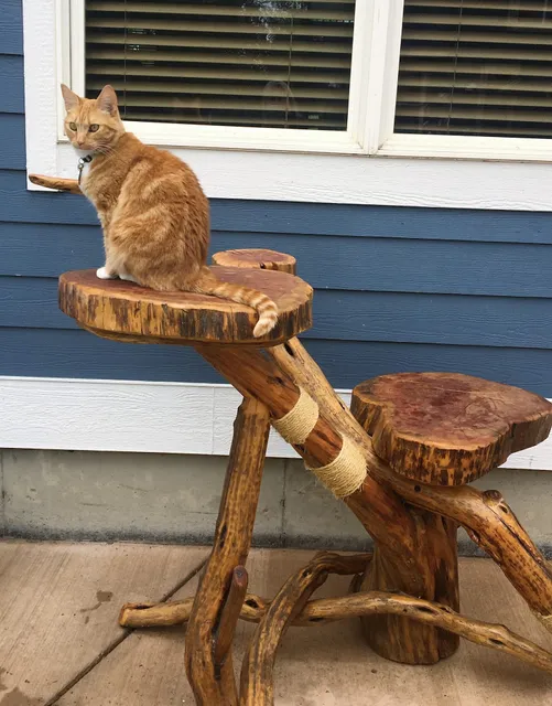 Rustic Aspen Furniture