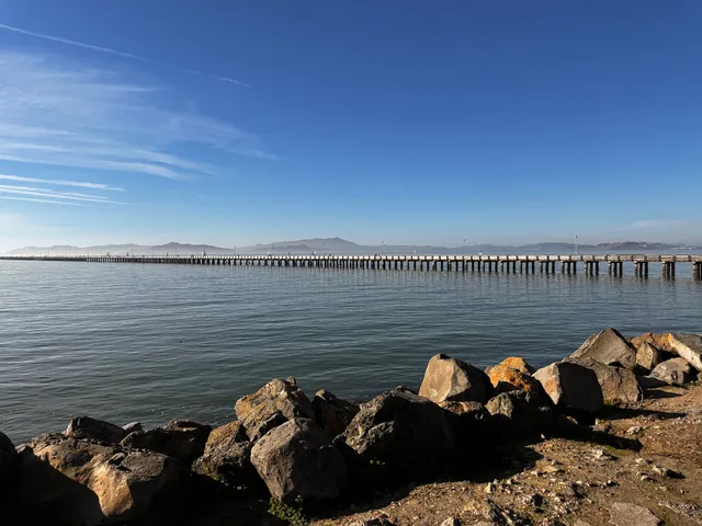 Shorebird Park Playground