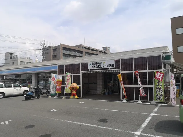 JA Yamanashimirai Kakuretate Land Ikedaten