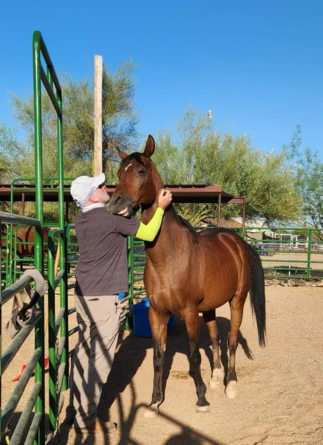 Good Shepherd Healing Ministries Horse Rescue