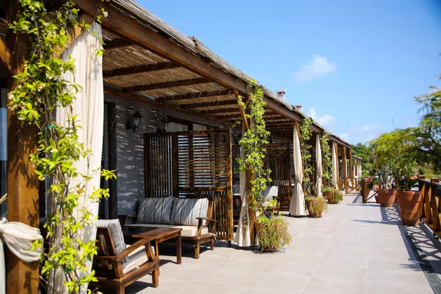 Mavi At Hotel Blue Horse