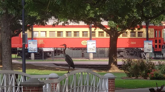 Georgia's Farmer's Market