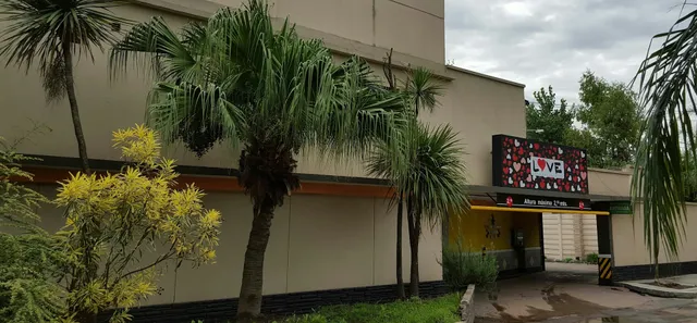 Los Verdes Eucaliptos