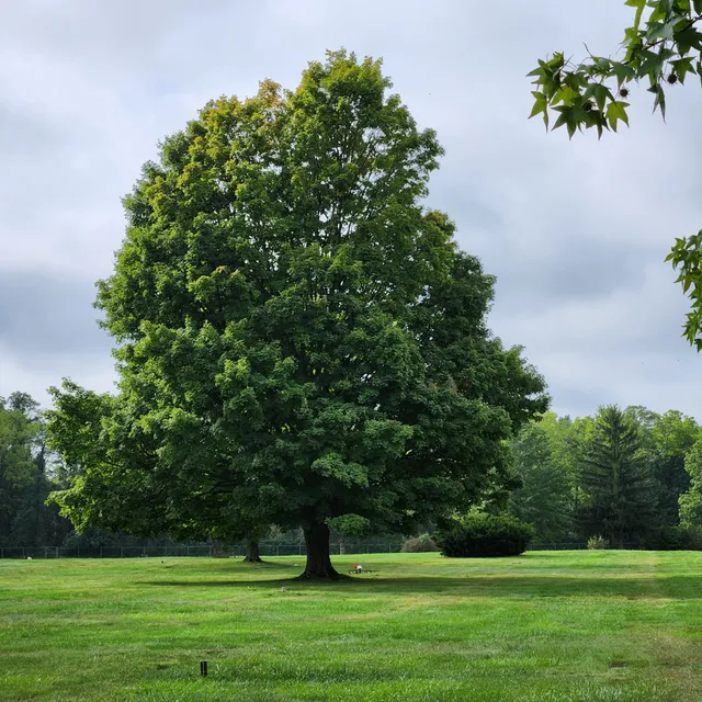 Glen Rest Memorial Estate