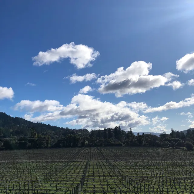 Smith Story Wine Cellars