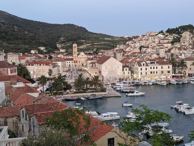 Apartments Olive Tree, Hvar