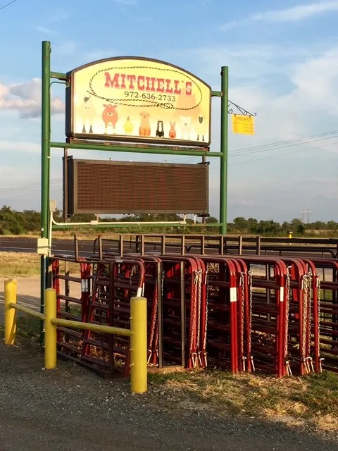 Mitchell's