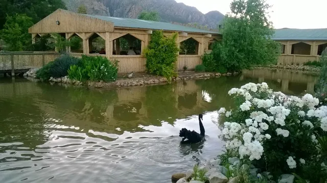 Montagu Guano Cave Resort