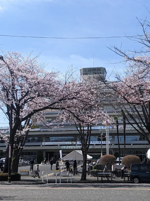Sagamihara City Hall