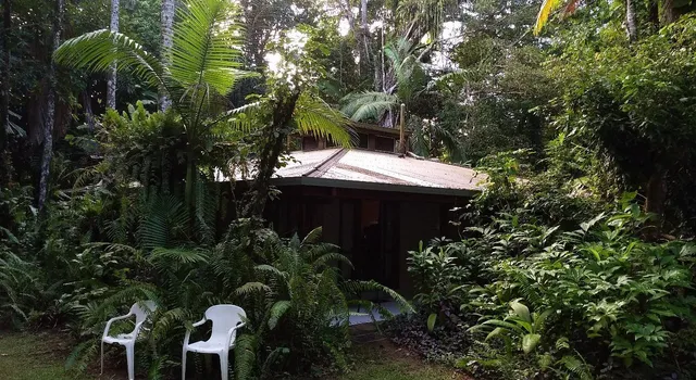 Daintree Deep Forest Lodge