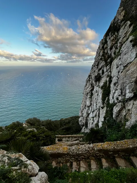 Mediterranean Steps (bottom)