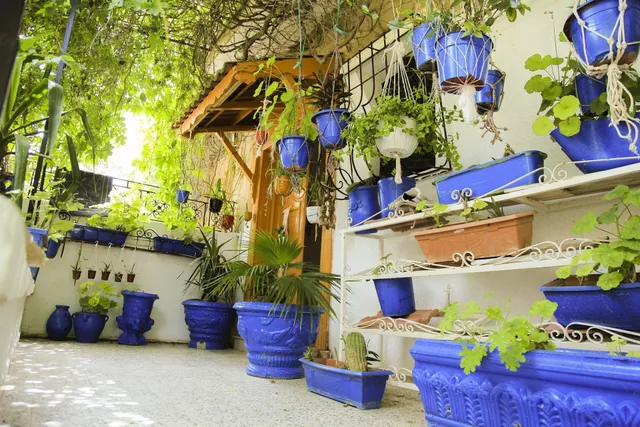 Maison d'hôte Casa Zitouna Kef, TN