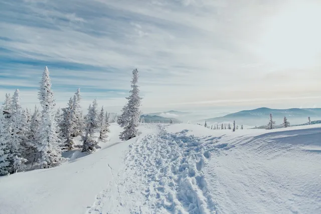 Gostevoy Dom "U Ruch'ya". Posutochnaya Arenda