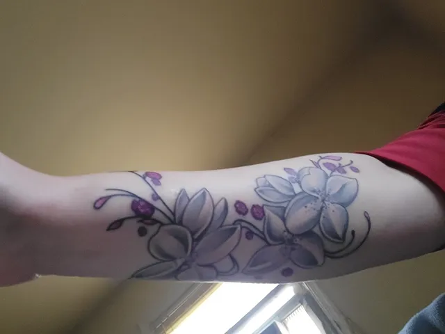 Rorschach Gallery 2.0