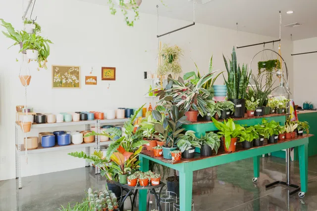 Cast & Grey Botanical