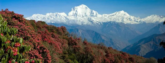 Everest Trekking Routes Pvt. Ltd.