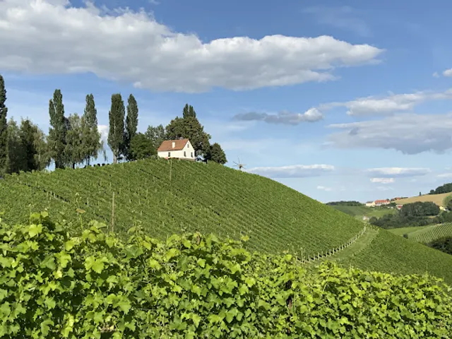 Weingut Buschenschank Gästezimmer Adam-Schererkogl