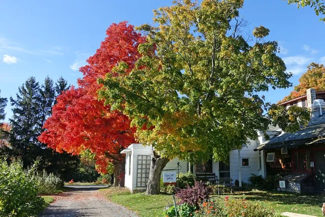 Rochester Folk Art Guild