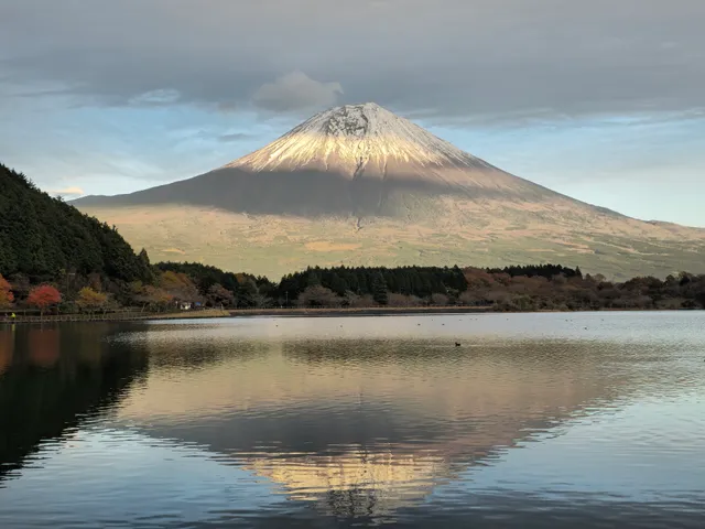 Lake Tanuki