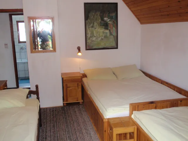 Apartments Villa Omorika 7