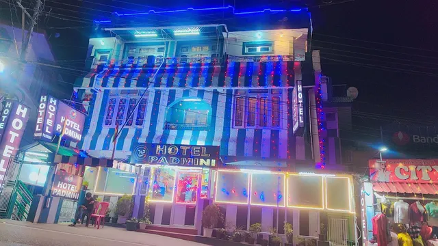 Hotel Padmini & restaurant veg kitchen