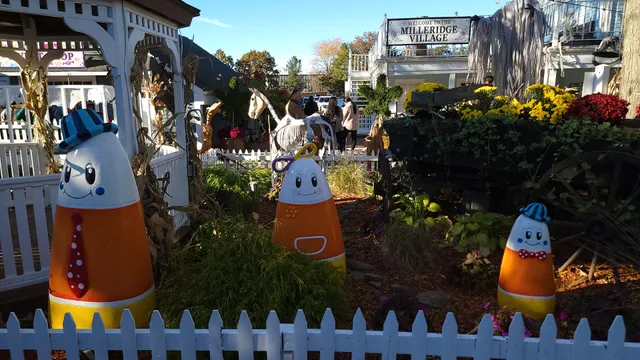 The Milleridge Village