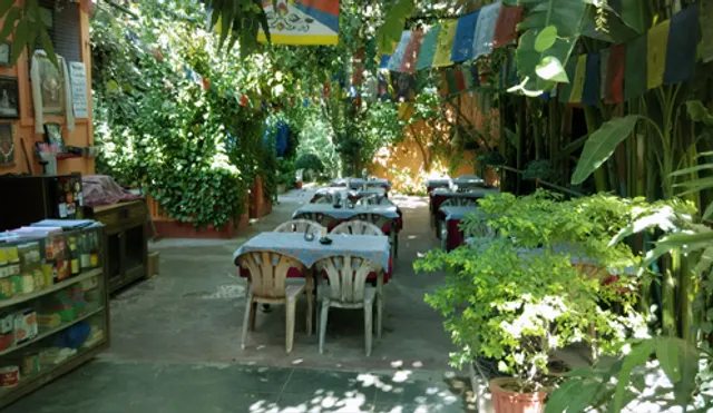 Payal Guest House Pushkar