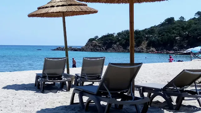 Le Fautea Bar Plage Restaurant