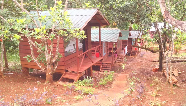 Happy elephant bungalow