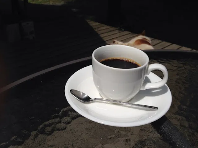 ログカフェ マタタビ