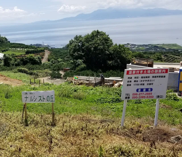 ナルシストの丘