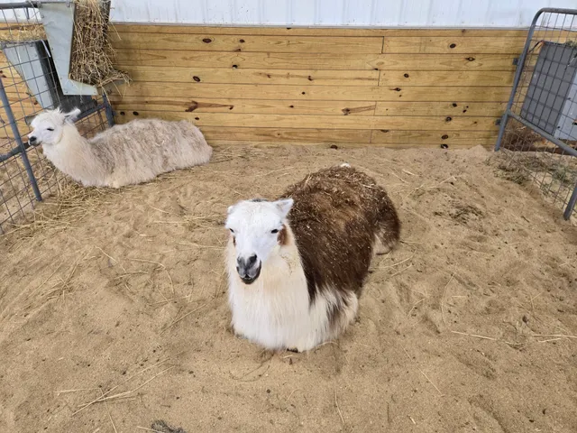 Rose Valley Animal Park