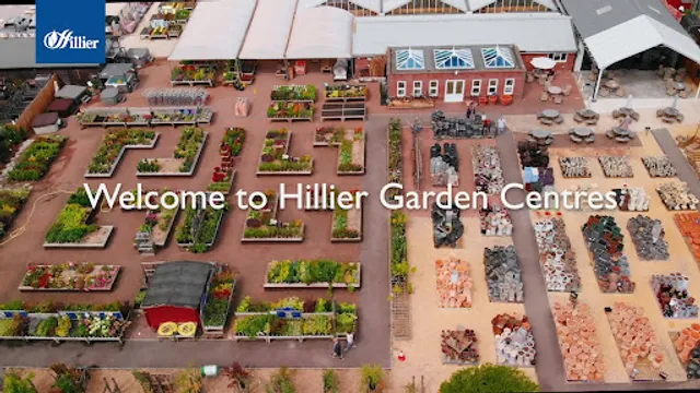 Mulberry & Thyme Sunningdale