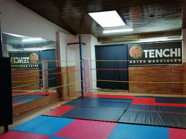 Tenchi Artes Marciales