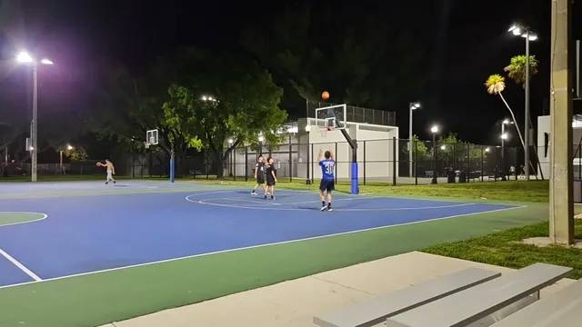 Flamingo Park Basketball Courts
