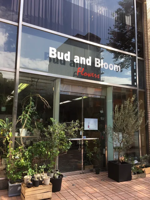 Bud and Bloom[バドアンドブルーム]